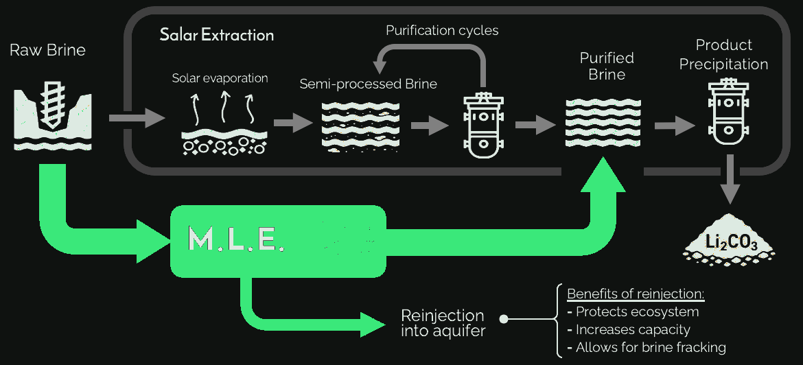 M.L.E. process flow diagram